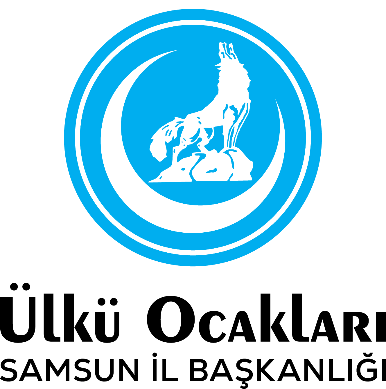 Samsun Ülkü Ocakları